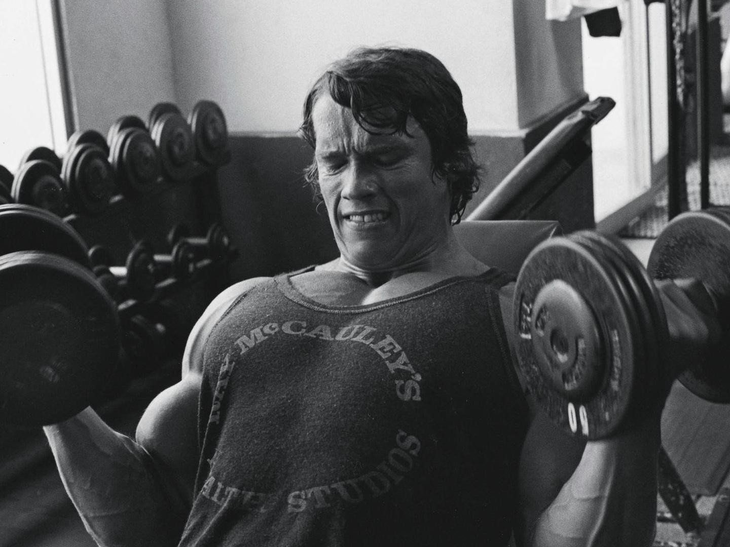 1440x1080_arnold-schwarzenegger-sports-bodybuilding-dumbbells